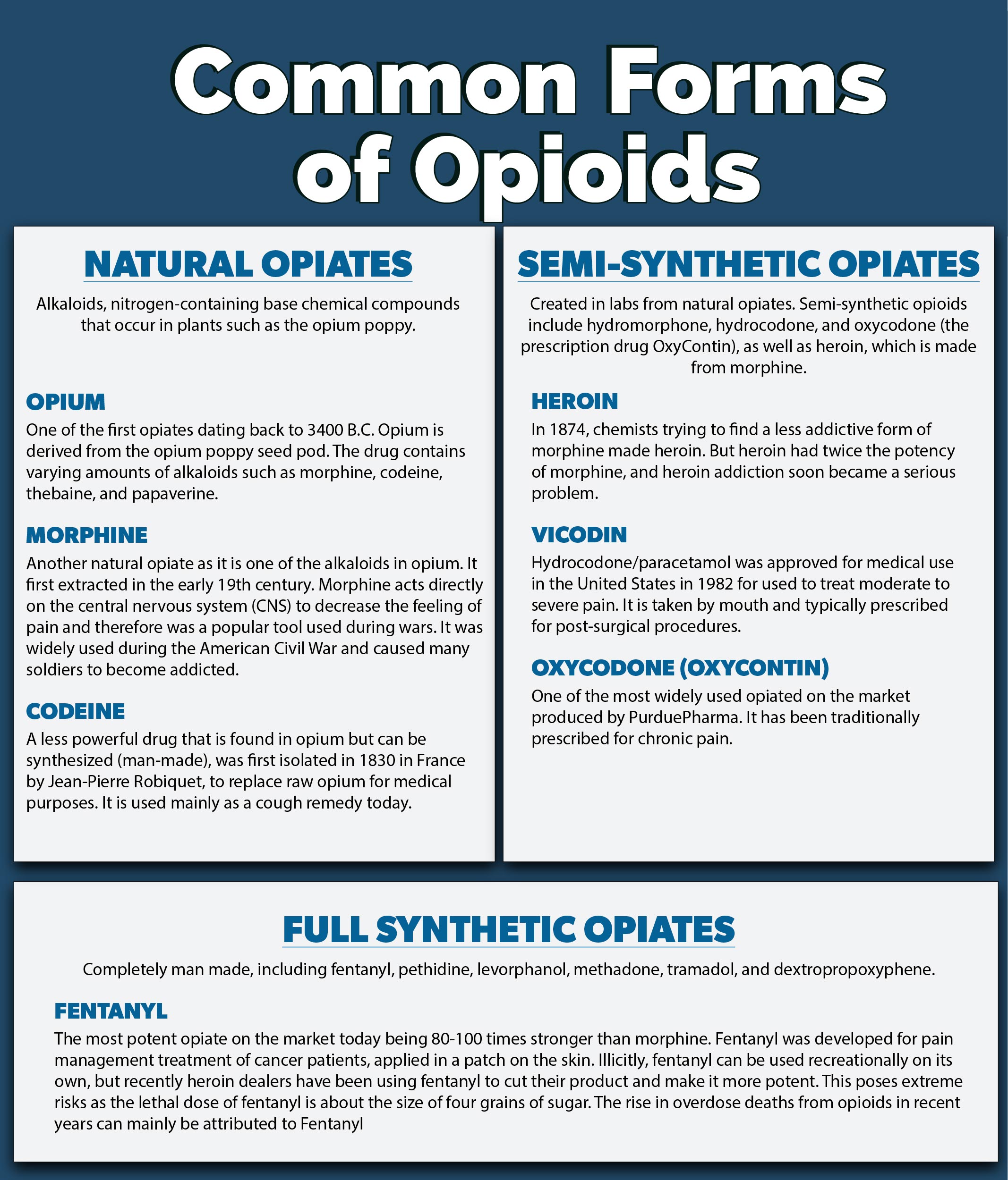 Infographic displaying information on typical opiates like Heroin, Opium, Morphine, Codeine, Vicodin, Oxycodone, and Fentanyl